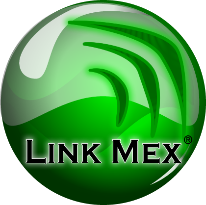 Linkmex